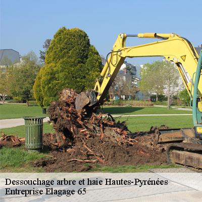 Dessouchage arbre et haie 65 Hautes-Pyrénées  Entreprise Elagage 65