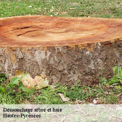 Dessouchage arbre et haie Hautes-Pyrénées 