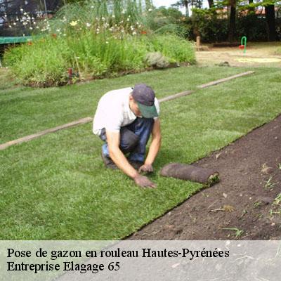 Pose de gazon en rouleau 65 Hautes-Pyrénées  Entreprise Elagage 65