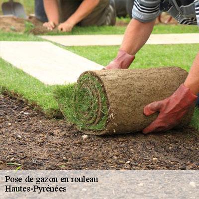 Pose de gazon en rouleau Hautes-Pyrénées 