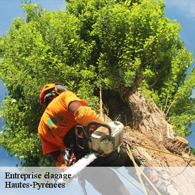Entreprise élagage Hautes-Pyrénées