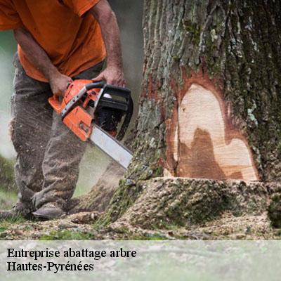 Entreprise abattage arbre Hautes-Pyrénées 