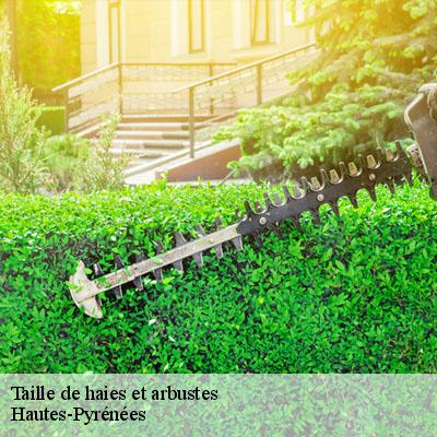 Taille de haies et arbustes Hautes-Pyrénées