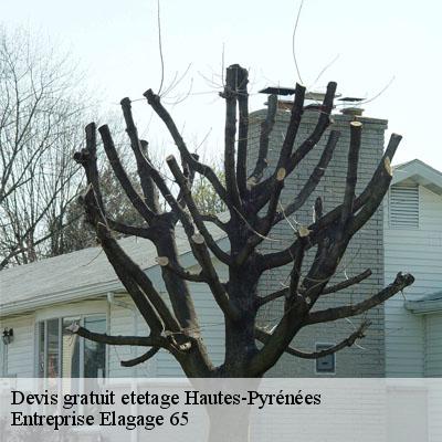 Devis gratuit etetage 65 Hautes-Pyrénées Entreprise Elagage 65