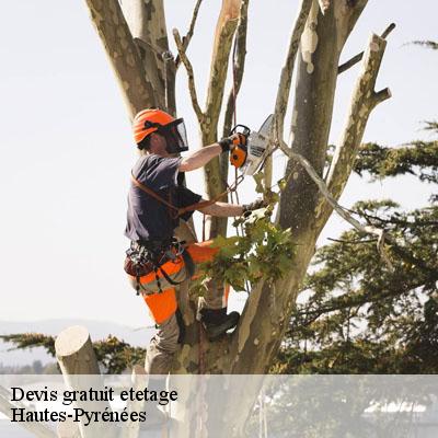 Devis gratuit etetage Hautes-Pyrénées