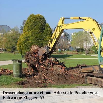 Dessouchage arbre et haie  adervielle-pouchergues-65240 Entreprise Elagage 65