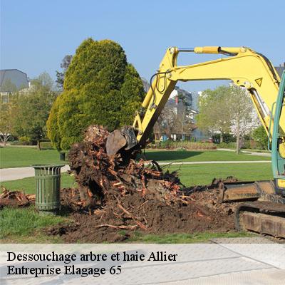 Dessouchage arbre et haie  allier-65360 Entreprise Elagage 65