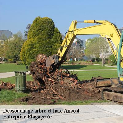 Dessouchage arbre et haie  ansost-65140 Entreprise Elagage 65