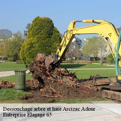 Dessouchage arbre et haie  arcizac-adour-65360 Entreprise Elagage 65