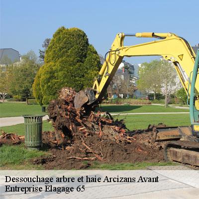Dessouchage arbre et haie  arcizans-avant-65400 Entreprise Elagage 65