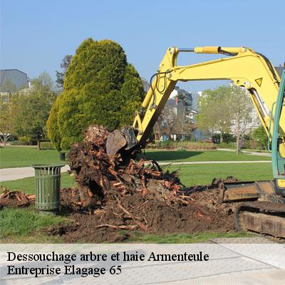 Dessouchage arbre et haie  armenteule-65510 Entreprise Elagage 65