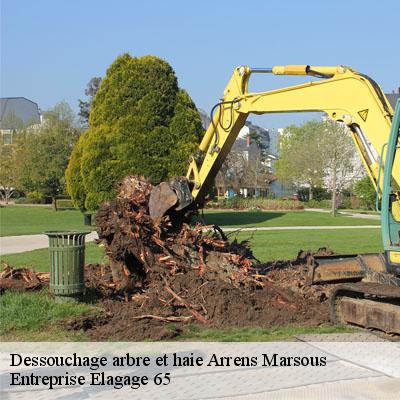 Dessouchage arbre et haie arrens-marsous-65400 Entreprise Elagage 65