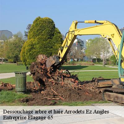 Dessouchage arbre et haie  arrodets-ez-angles-65100 Entreprise Elagage 65