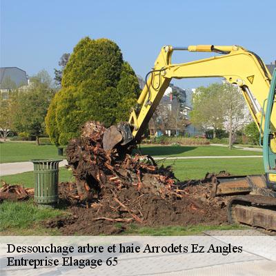 Dessouchage arbre et haie arrodets-ez-angles-65100 Entreprise Elagage 65