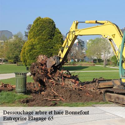 Dessouchage arbre et haie  bonnefont-65220 Entreprise Elagage 65