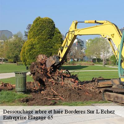 Dessouchage arbre et haie  borderes-sur-l-echez-65320 Entreprise Elagage 65