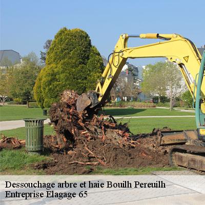 Dessouchage arbre et haie bouilh-pereuilh-65350 Entreprise Elagage 65