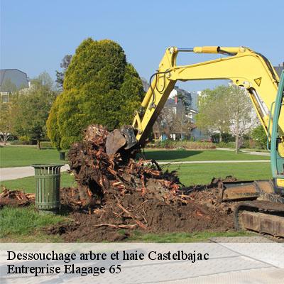 Dessouchage arbre et haie castelbajac-65330 Entreprise Elagage 65