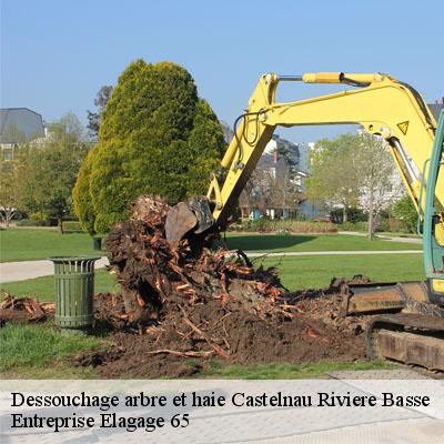 Dessouchage arbre et haie  castelnau-riviere-basse-65700 Entreprise Elagage 65