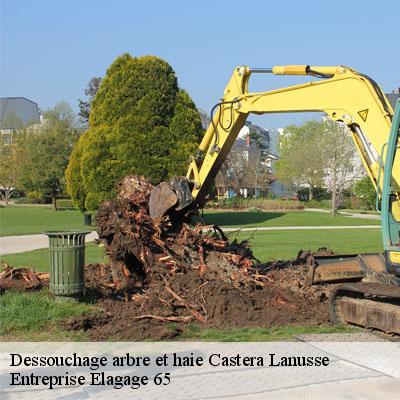 Dessouchage arbre et haie  castera-lanusse-65190 Entreprise Elagage 65