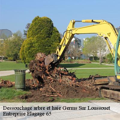 Dessouchage arbre et haie germs-sur-loussouet-65200 Entreprise Elagage 65
