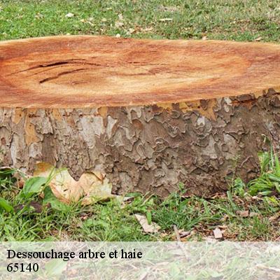 Dessouchage arbre et haie 65140
