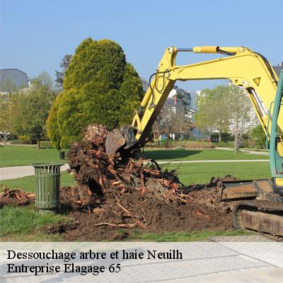 Dessouchage arbre et haie neuilh-65200 Entreprise Elagage 65