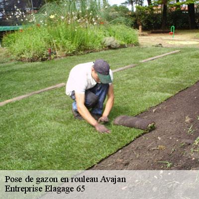 Pose de gazon en rouleau avajan-65240 Entreprise Elagage 65