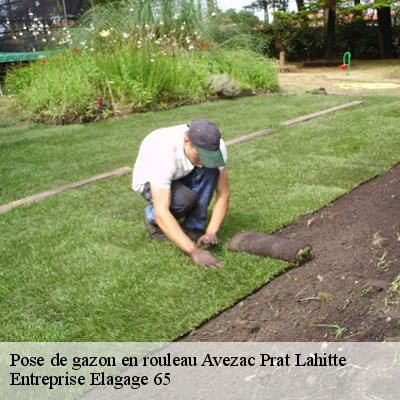 Pose de gazon en rouleau  avezac-prat-lahitte-65130 Entreprise Elagage 65