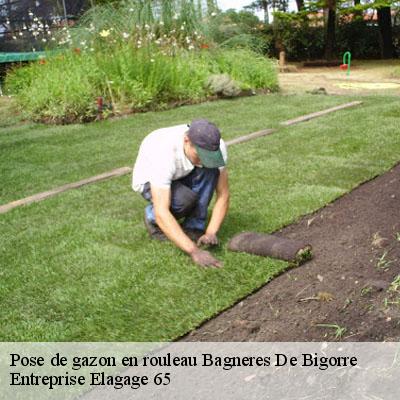 Pose de gazon en rouleau  bagneres-de-bigorre-65200 Entreprise Elagage 65