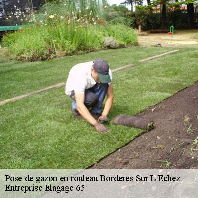 Pose de gazon en rouleau  borderes-sur-l-echez-65320 Entreprise Elagage 65