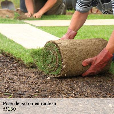 Pose de gazon en rouleau 65130
