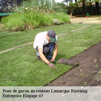 Pose de gazon en rouleau  lamarque-rustaing-65220 Entreprise Elagage 65