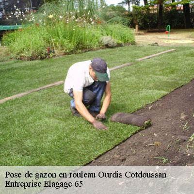 Pose de gazon en rouleau ourdis-cotdoussan-65100 Entreprise Elagage 65
