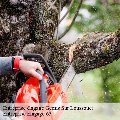 Entreprise élagage  germs-sur-loussouet-65200 Entreprise Elagage 65