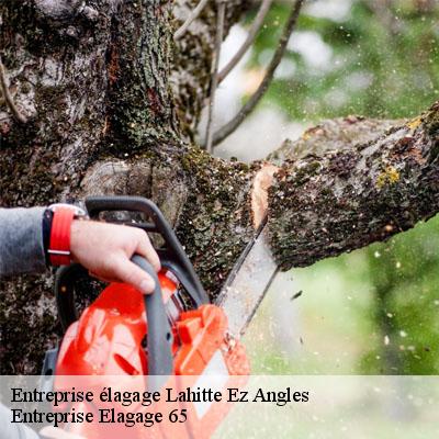 Entreprise élagage  lahitte-ez-angles-65100 Entreprise Elagage 65