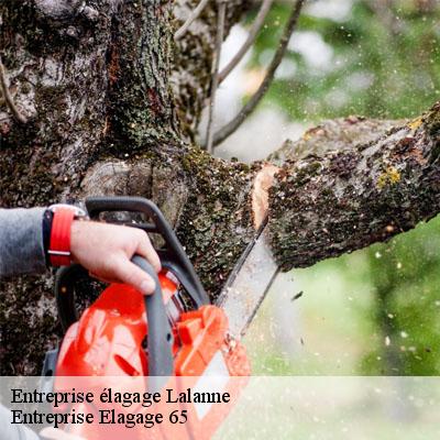 Entreprise élagage  lalanne-65230 Entreprise Elagage 65