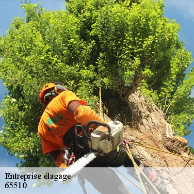 Entreprise élagage 65510