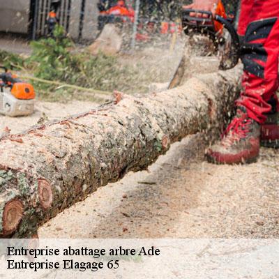 Entreprise abattage arbre  ade-65100 Entreprise Elagage 65