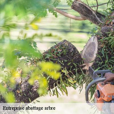 Entreprise abattage arbre