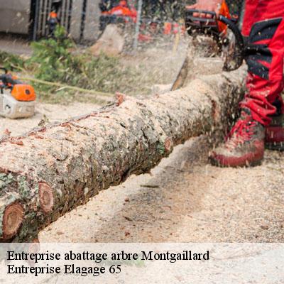 Entreprise abattage arbre  montgaillard-65200 Entreprise Elagage 65