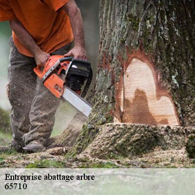 Entreprise abattage arbre 65710