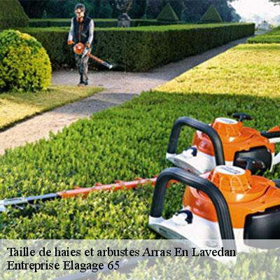 Taille de haies et arbustes arras-en-lavedan-65400 Entreprise Elagage 65