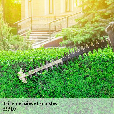 Taille de haies et arbustes 65510