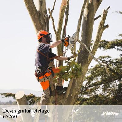 Devis gratuit etetage  65260