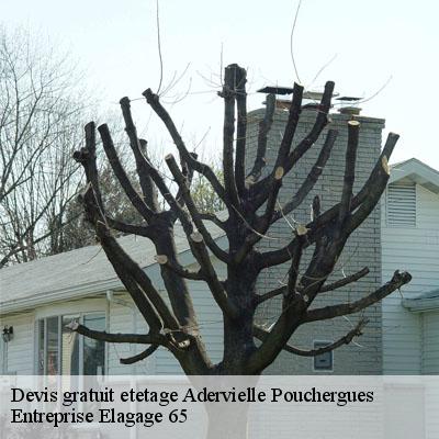 Devis gratuit etetage  adervielle-pouchergues-65240 Entreprise Elagage 65