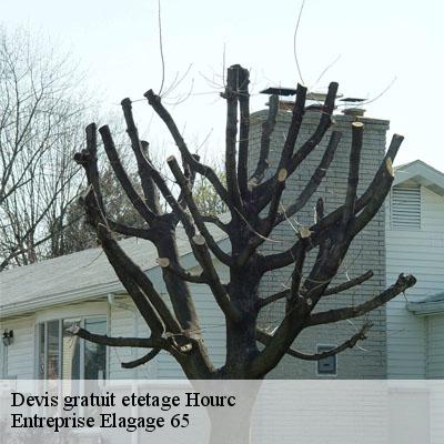 Devis gratuit etetage hourc-65350 Entreprise Elagage 65