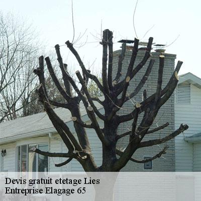 Devis gratuit etetage  lies-65200 Entreprise Elagage 65