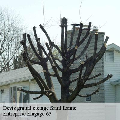 Devis gratuit etetage  saint-lanne-65700 Entreprise Elagage 65