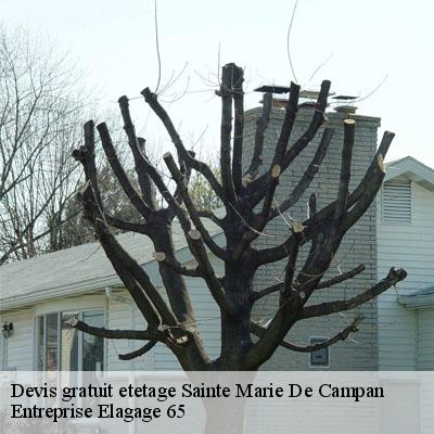 Devis gratuit etetage  sainte-marie-de-campan-65710 Entreprise Elagage 65